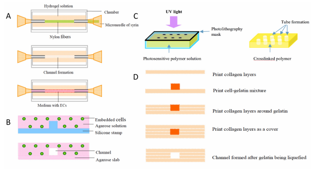 如何使用低成本桌面3D打印機創建血管結構 如何使用低成本桌面3D打印機創建血管結構